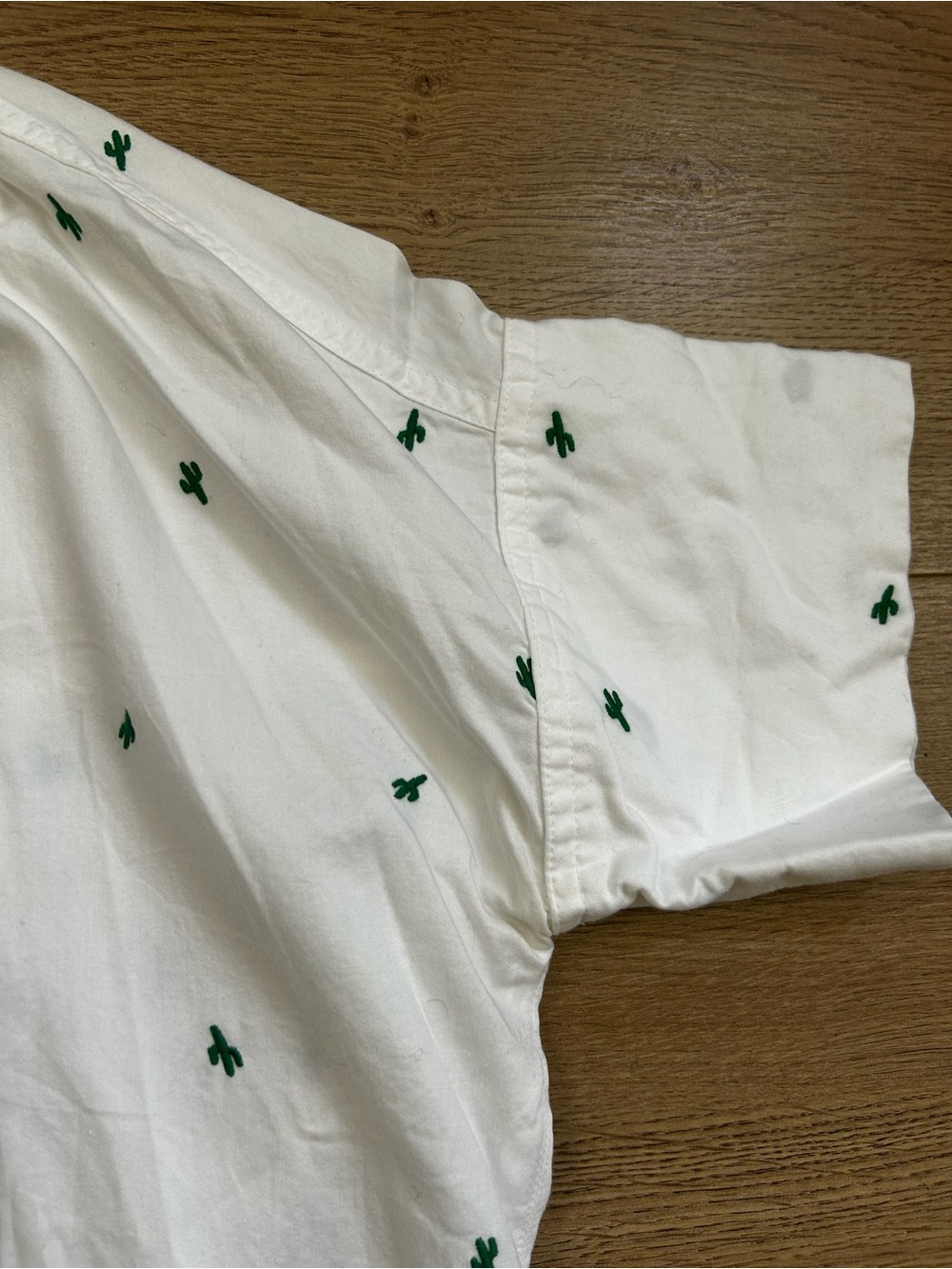 Boxy Madewell White Short-Sleeve Button-Down with Green Cactus Embroidery - Picture 7 of 8